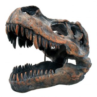 Large Replica Fossil T.Rex Skull: