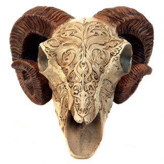 Rams Skull With Carvings: