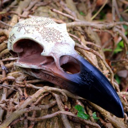 Ravens Skull