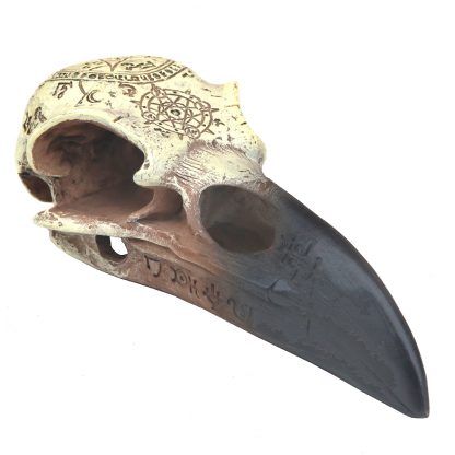 Ravens Skull